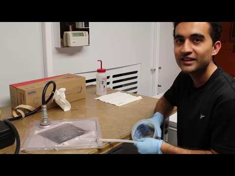 YouTube video