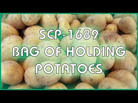 SCP 1689 - Bag of Holding Potatoes
