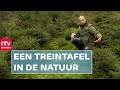 Miniatuurlandschappen in Boswachterij Hooghalen | ROEG! | RTV Drenthe