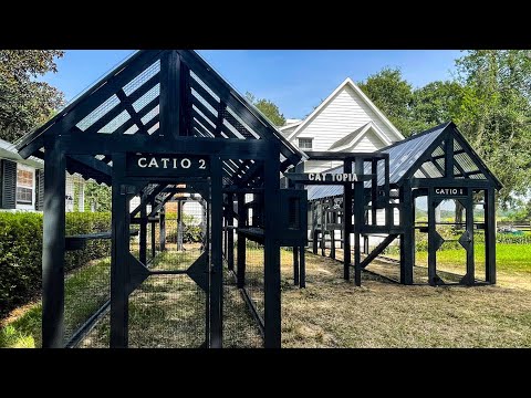 Two large catios and catio tunnel walkthrough video