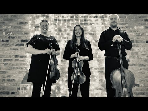 The Yorkshire Violinist String Trio - Rohan Theme - Lord of the Rings