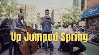 Up Jumped Spring Freddie Hubbard Pasha Karchevsky Quartet at Sonnyboy NYC