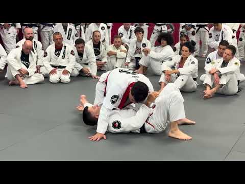 Staple to side control success