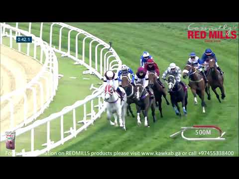 31st Race Meeting   HH The Amir Festival   3