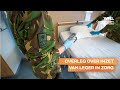 Overleg Bruls en Grapperhaus over inzet leger in zorg: Defensie kan veel bieden'