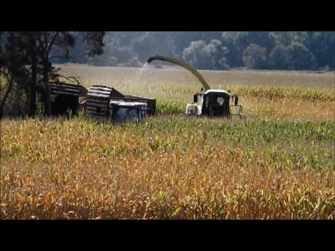 Mais häckseln Teil 3 2016