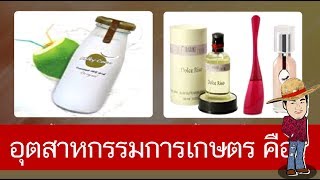 สื่อการเรียนการสอน อุตสาหกรรมการเกษตรป.4วิทยาศาสตร์