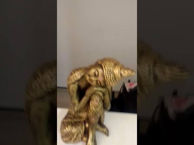 Vídeo relacionado con PRETYZOOM Pisapapeles Cristal Dorado 5 Pcs Decoración Feng Shui Lingotes Artículos Budistas Hogar