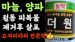 더원입상수화제농약 
