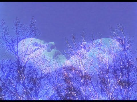 Play Video Youtube Video