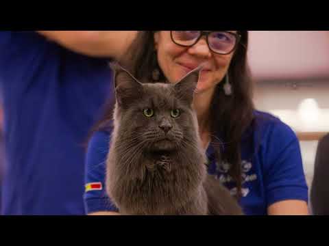 Mezinárodní výstava koček Olomouc