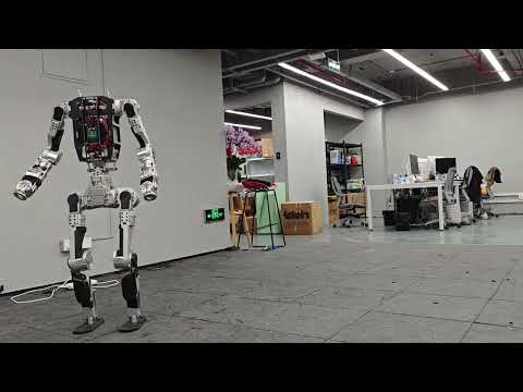 Elf 3 Review Video 1