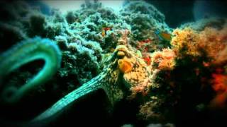 &quot;underwater&quot; videosub