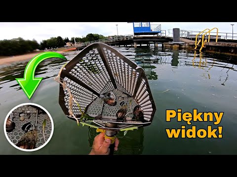 Taki widok to ja lubię, jest adrenalina! Wodne poszukiwania wykrywaczem metali - Odcinek 96