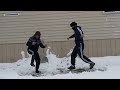 Hard Bass School Vodka Semechki Hardbass Tri Poloski Adidas