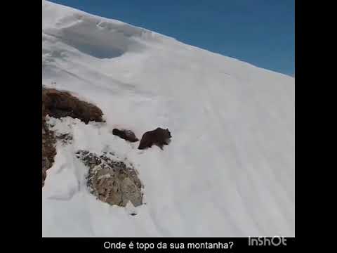 SOS EU QUERO ver você VENCER