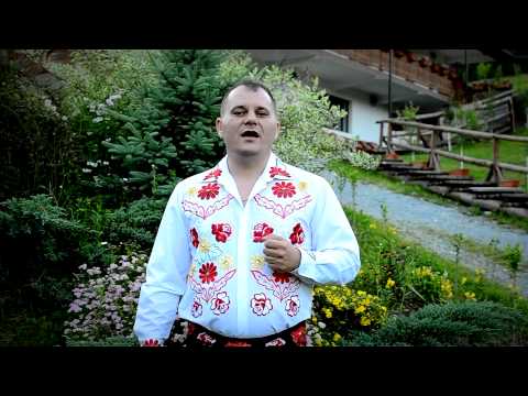 Daniel Iancu - Parca incep anii sa se grabeasca