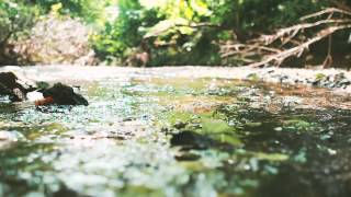 Lou Barlow - C & E (Album Audio Only)