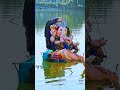 Ganpati Visarjan Status Ganesh Visarjan Status Ganpati Bappa Morya Ganpati Ganpativisarjan Shorts