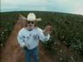 How's Your News? - Texas - YouTube