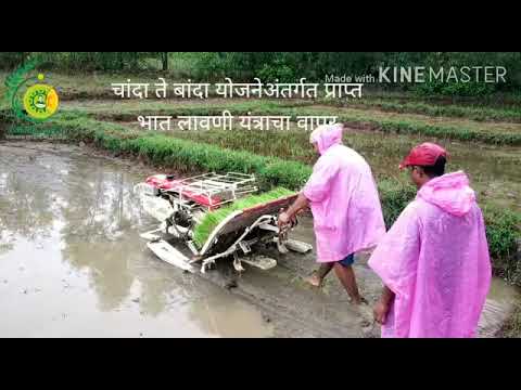 BAIF | Indigenous Seed Bank | Agricart Farmer Producer Company| MGB | 2020