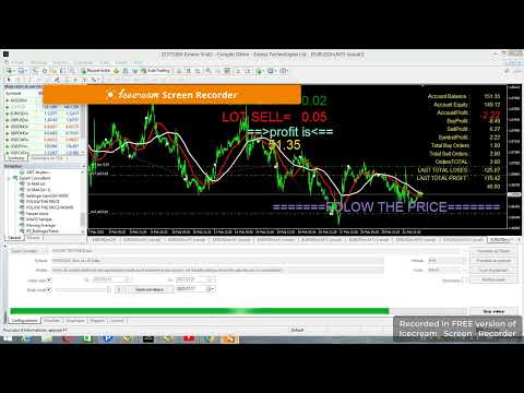 Video Folow The Trend