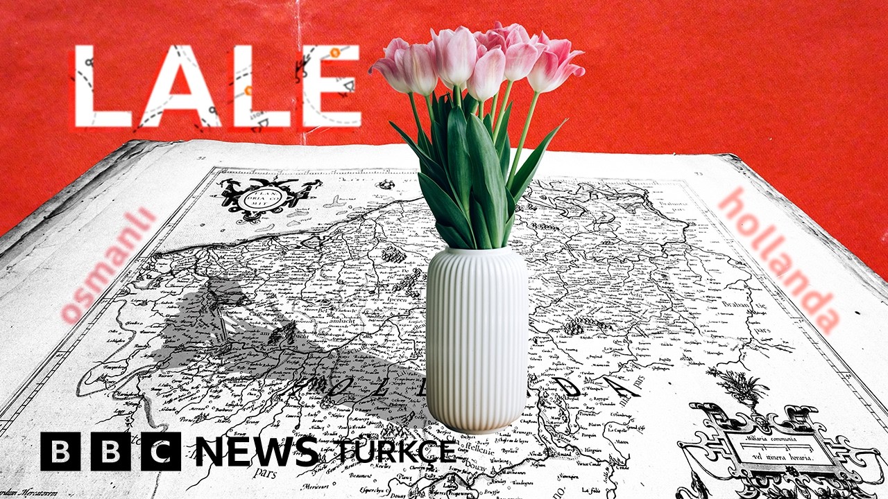 Osmanlı’nın lalesi nasıl Hollanda’nın sembolü oldu?