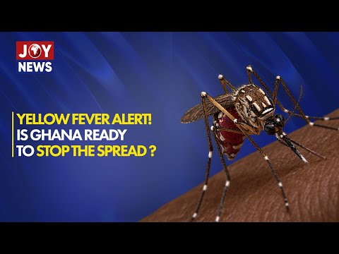 Yellow Fever Outbreak: Are Ghana's Health Authorities Doing Enough to Stop the Spread?