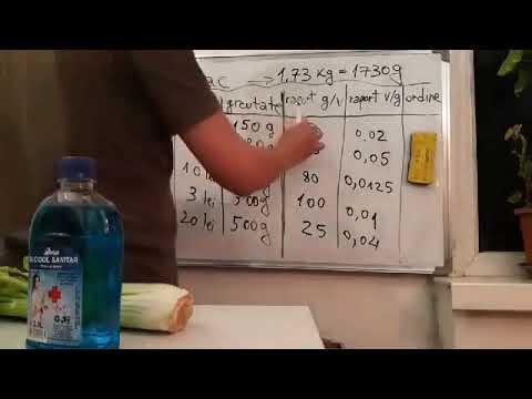 Introducere în programare pt  adulți începători   Lecția 5  O problemă de optimizare   Rucsacul onli