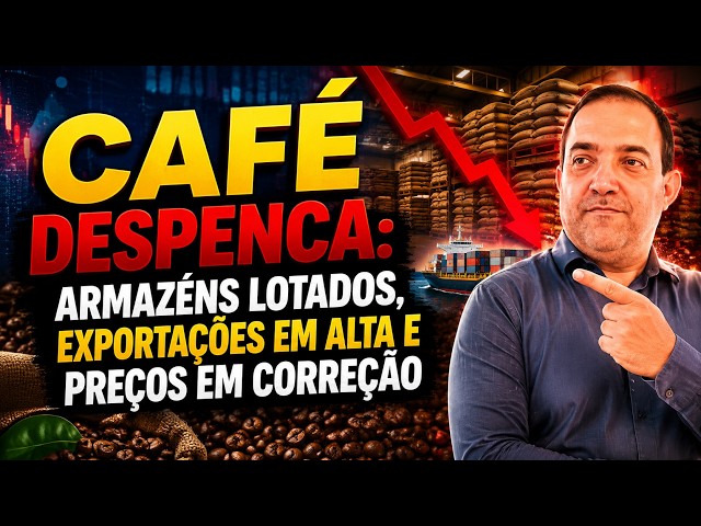Café despenca: armazéns lotados, exportações em alta e preços em correção.
