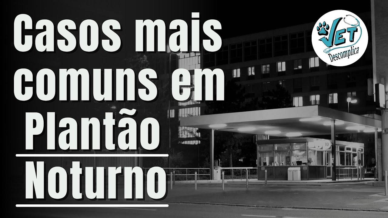 Casos mais comuns em Plantão Noturno Veterinário