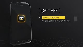 Introducing the Cat App