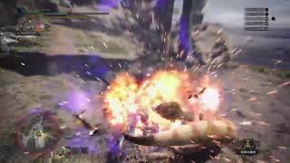 下手の物好き　MHWIやります
