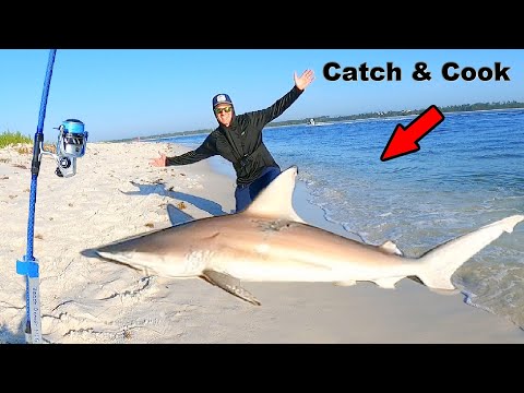 Caught and Cooked a SHARK From the BEACH!! *Catch, Clean, & Cook*