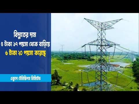 পাইকারি পর্যায়ে বিদ্যুতের দাম বেড়েছে