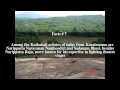Karalmanna Top 10 Facts