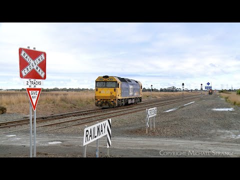 D977V Pacific National Light Engine BL33 (23/6/2023) - PoathTV Australian Trains & Railways