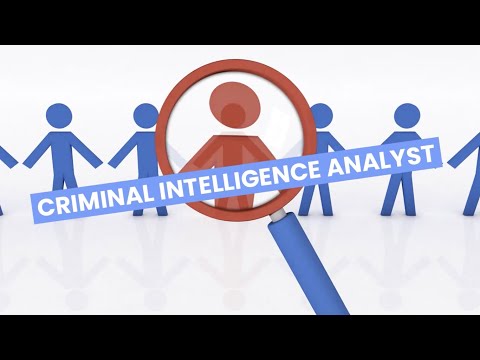 Criminal intelligence analyst video 2