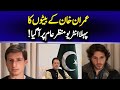 Former PM Imran Khan S Sons Break Their Silence Exclusive Interview Mario Nawfal