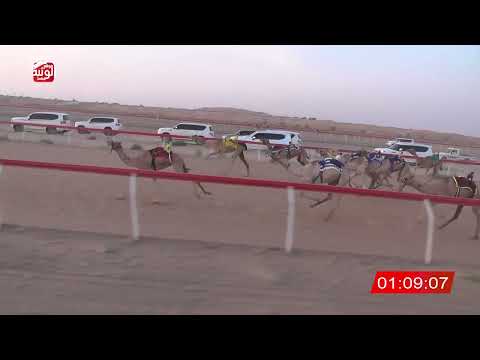  ش 5 (الشاهينيه) لـ حمدان محمد بن نابت 3:7 ، شارة صندوق الحلفه 2026/07/26 فطامين الجبيب
