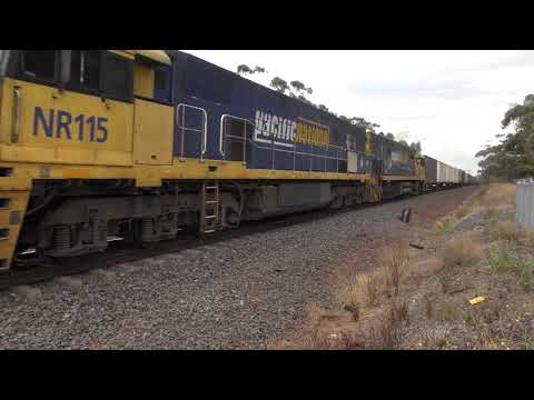 NR115 NR90 on a Freight at Lara