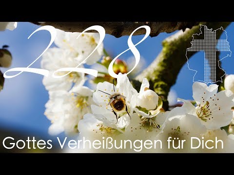 Gottes Verheißungen für Dich - 1. Korinther 1,18 | Videokalender 228/365 - Deutschland braucht JESUS