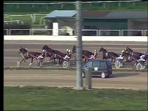 Trotto 19/03/2015 - 4° corsa