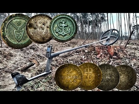 Wykopki odc 163 - Co skrywa zaorany las?