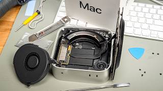 There are three types of Mac users