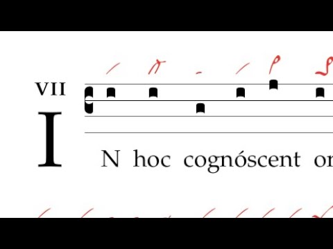 Antiphona: In hoc cognoscent omnes