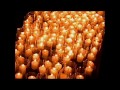 EACH SMALL CANDLE - ROGER WATERS