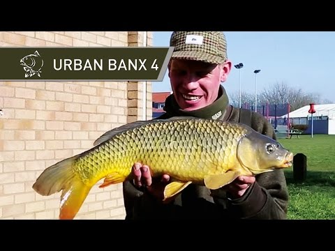 Urban Park Lake Carp Fishing - Urban Banx 4 with Alan Blair - Northlands Park Basildon - Nash Tackle