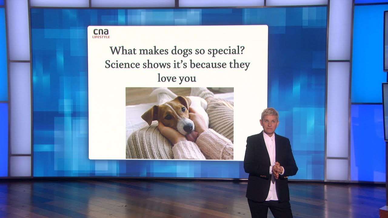 Scientific Proof Dogs Love Us