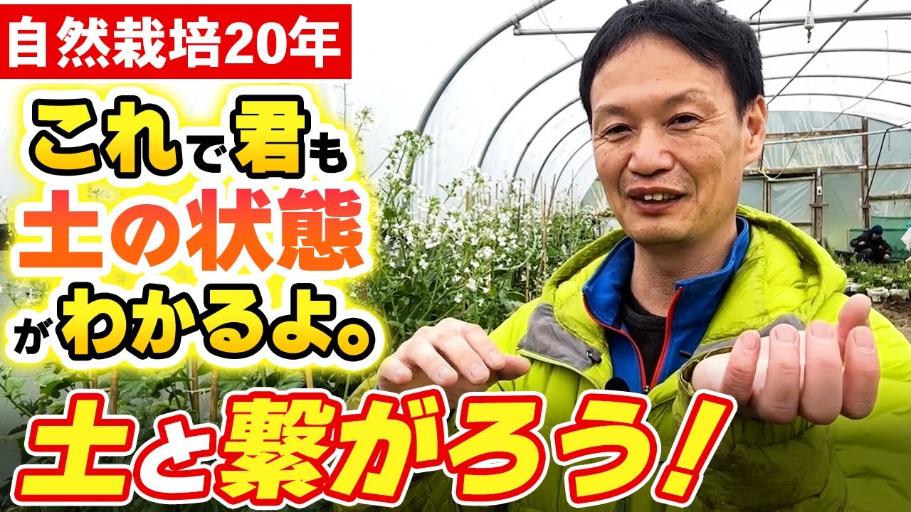 雑草の変化でわかる土のステージと肥毒